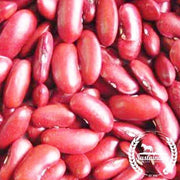 Organic Dark Red Kidney Beans Seeds
