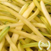 Bean Seeds - Golden Wax - Organic