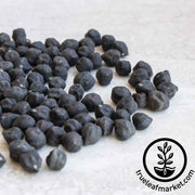 black garbanzo Organic cover crop beans
