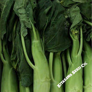 Broccoli Seeds - Chinese Broccoli - Big Stem