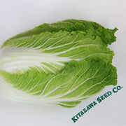Chinese Cabbage Seeds - Kyoto No. 3