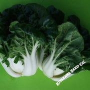 Cabbage Seeds - Pak Choi - Nabi Queen - Dwarf Hybrid