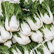 Cabbage Seeds - Pak Choi - Joi Choi - Hybrid