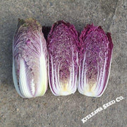 Chinese Cabbage Seeds - RCC3 Red - Hybrid