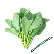Chinese Cabbage Seeds - Ryokuho - Hybrid