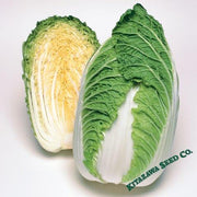 Chinese Cabbage Seeds - Spring Crisp - Hybrid