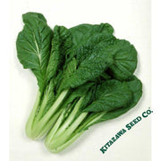 Chinese Cabbage Seeds - Vitaminna