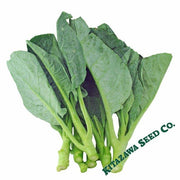 Chinese Cabbage Seeds - Wan Shen