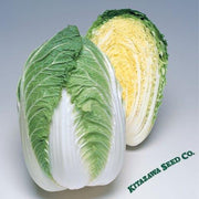 Chinese Cabbage Seeds - Winter Crisp - Hybrid