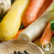 Carrot Seeds - Culinary Blend