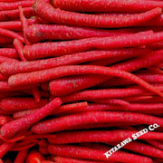 Carrot Seeds - Kyoto Red
