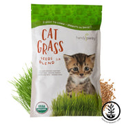 Cat Grass Seeds - Seed Blend (Organic)