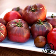 Tomato Cherokee Purple Seed