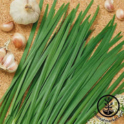 Chives - Garlic Herb Seed