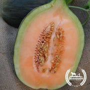 Organic Crenshaw Melon Seeds