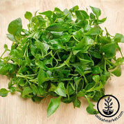 Cress - Curled Herb and Microgreen seed
