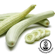 Cucumber Armenian (The Duke) Seeds - Non-GMO