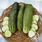 Cucumber - Ashley Garden Seed