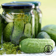 homade pickles cucumber