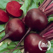 Beet Seeds - Detroit Dark Red (Organic)