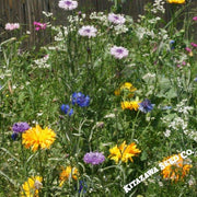 Edible Flower Seed Mix