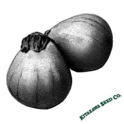 Eggplant Seeds - Ao Daimaru