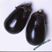 Eggplant Seeds - Mizuno Takumi - Hybrid