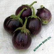 Eggplant Seeds - Round Purple