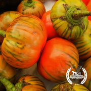 Eggplant Seeds - Turkish Orange (Organic)
