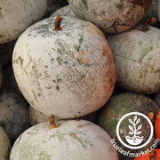 Gourd Seeds - Bushel