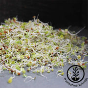 health blend sprouts