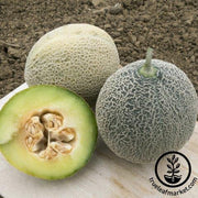 Melon Seeds - Green Nutmeg