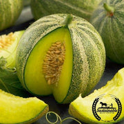 Melon Seeds - Haogen - Organic