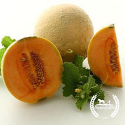 Organic Hearts of Gold Melon Seeds