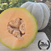 Melon Seeds - Iroquois - Organic