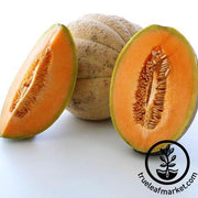 Tuscany Melon Seeds - Non-GMO