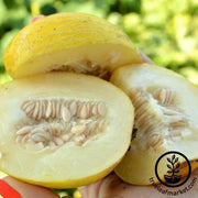 Melon Seeds - Vine Peach