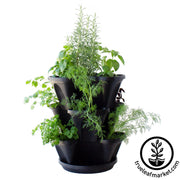 Black Stackable Planter & Culinary Herbs