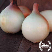 Onion Walla Walla Organic Seed