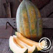 Organic bidwell casaba melon