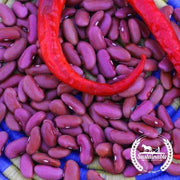 Bean Seeds - Light Red Kidney - Organic