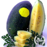 Watermelon Seeds - Picnic - Moon & Stars Yellow Flesh (Organic)