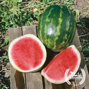 Watermelon Seeds - Picnic - Triple Star Hybrid (Organic)