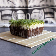 Cabbage Seeds - Pak Choi - Shanghai - Microgreens Seeds