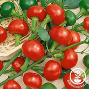 Pepper Seeds - Hot - Basket Hot F1