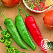 Hot Pepper - Garden Salsa