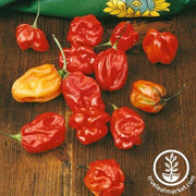 Pepper Seeds - Sweet - Habanero Sweet Red