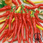 Pepper Seeds - Hot - Ristra Cayenne F1