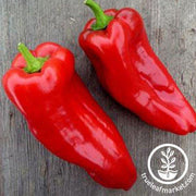 Poblano Ancho Pepper Seeds - Non-GMO