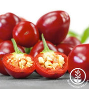 Pepper Seeds - Sweet - Basket Sweet F1